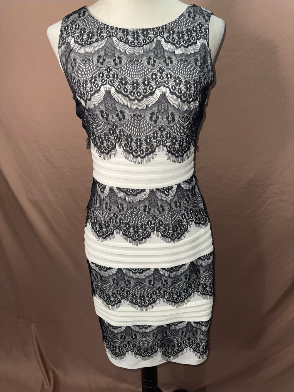 NWOT Lace Overlay White and Black Sheath Dress